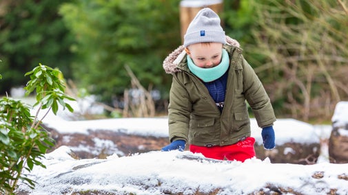 The Wild Play Area at Croome in Winter